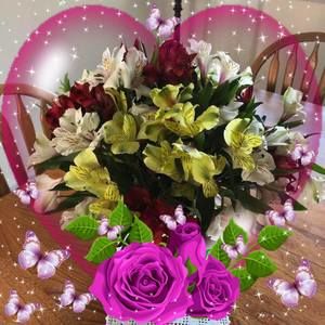 Meet your Posher, Carol